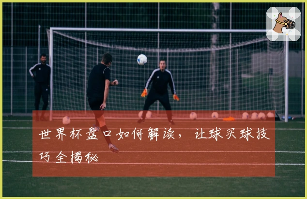 世界杯盘口如何解读，让球买球技巧全揭秘