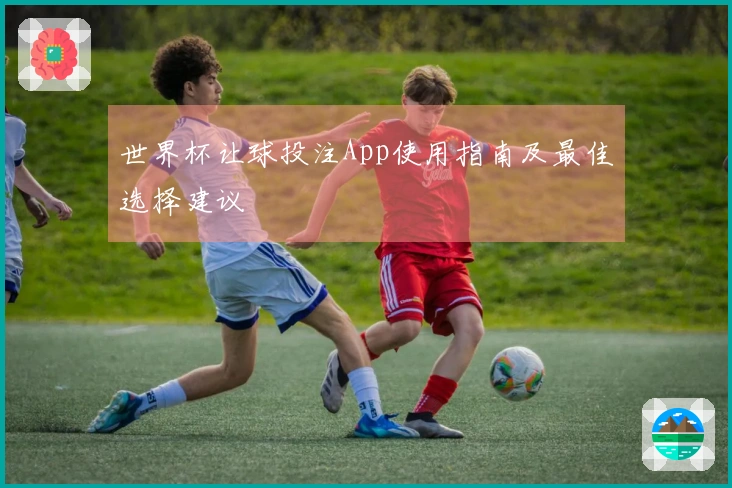 世界杯让球投注App使用指南及最佳选择建议