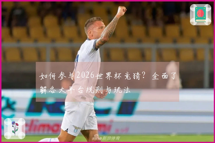 如何参与2026世界杯竞猜？全面了解各大平台规则与玩法