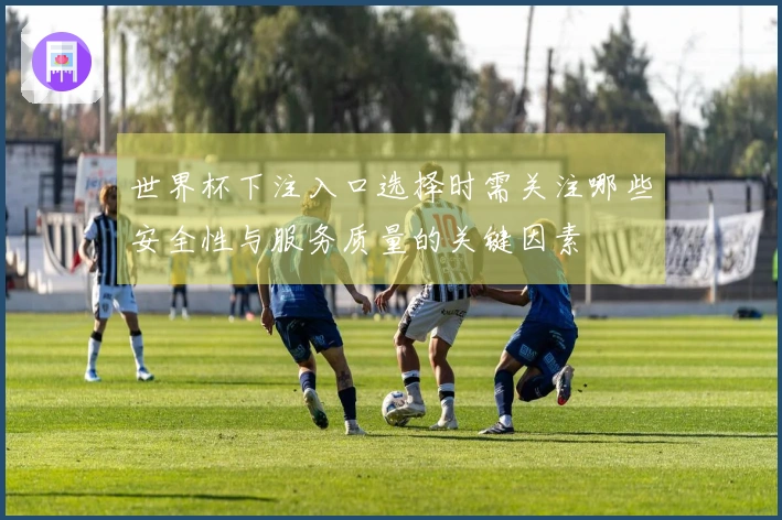 世界杯下注入口选择时需关注哪些安全性与服务质量的关键因素