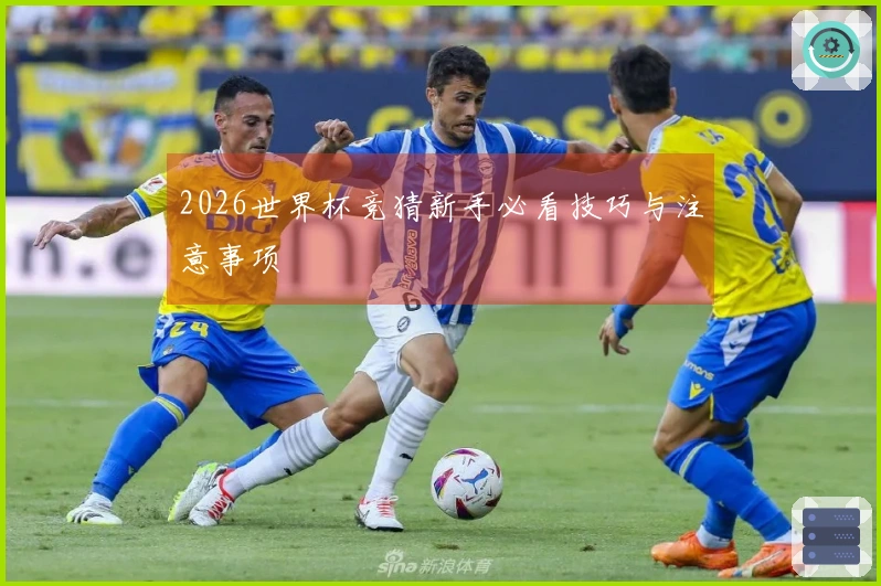 2026世界杯竞猜新手必看技巧与注意事项