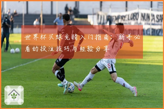 世界杯买球竞猜入门指南：新手必看的投注技巧与经验分享