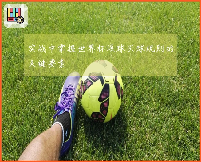 实战中掌握世界杯滚球买球规则的关键要素