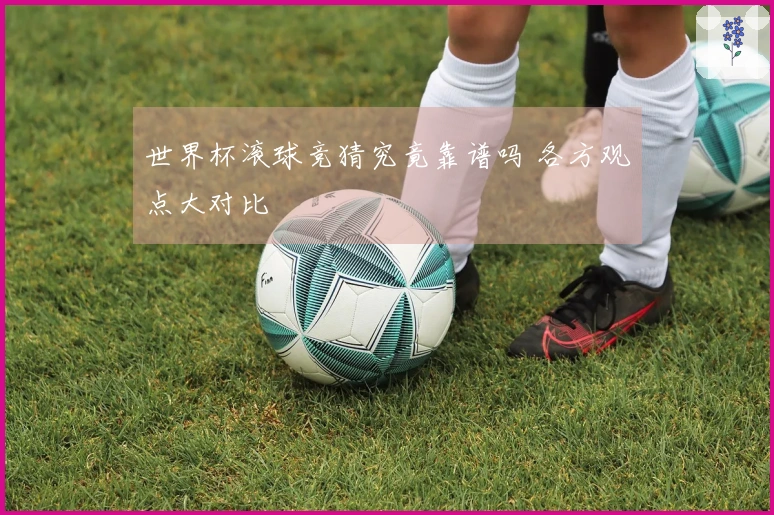 世界杯滚球竞猜究竟靠谱吗 各方观点大对比