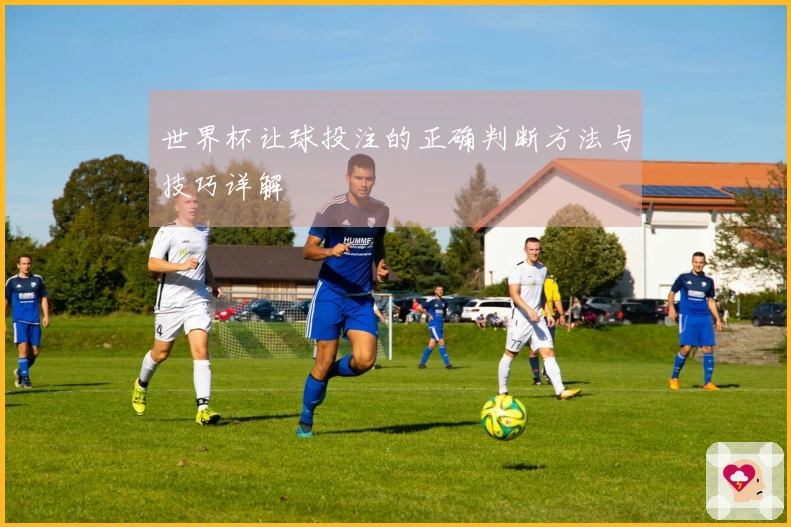 世界杯让球投注的正确判断方法与技巧详解