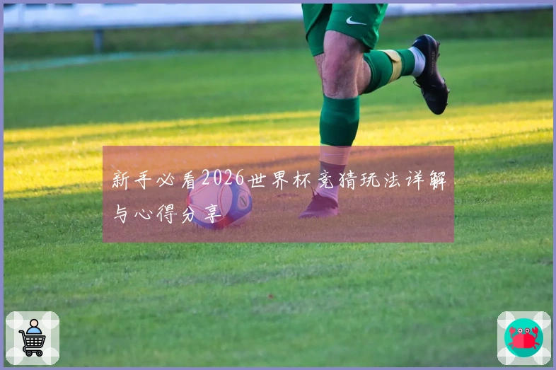 新手必看2026世界杯竞猜玩法详解与心得分享