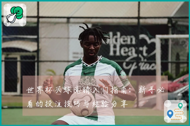 世界杯买球竞猜入门指南：新手必看的投注技巧与经验分享