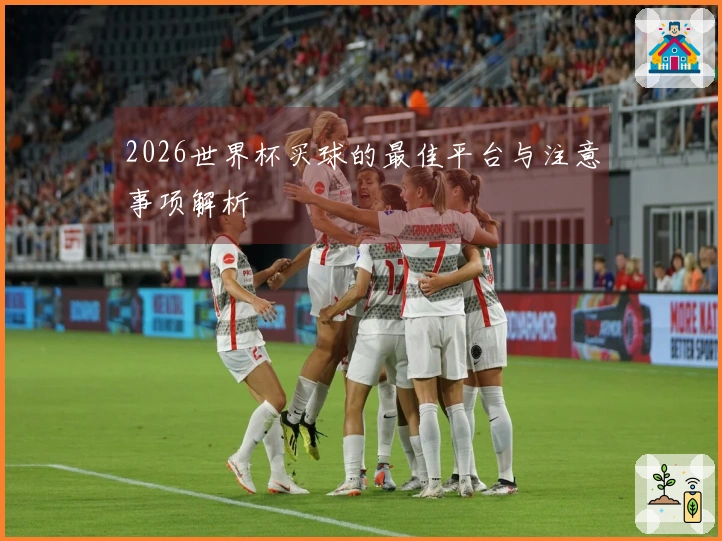2026世界杯买球的最佳平台与注意事项解析