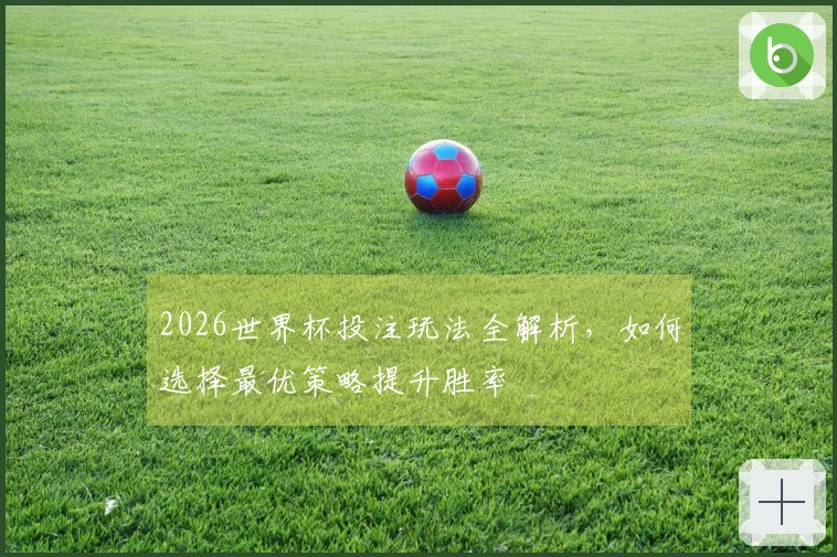2026世界杯投注玩法全解析，如何选择最优策略提升胜率