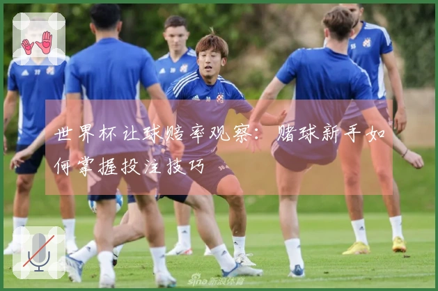 世界杯让球赔率观察：赌球新手如何掌握投注技巧