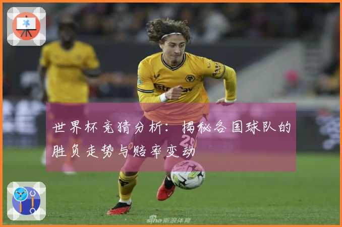 世界杯竞猜分析：揭秘各国球队的胜负走势与赔率变动