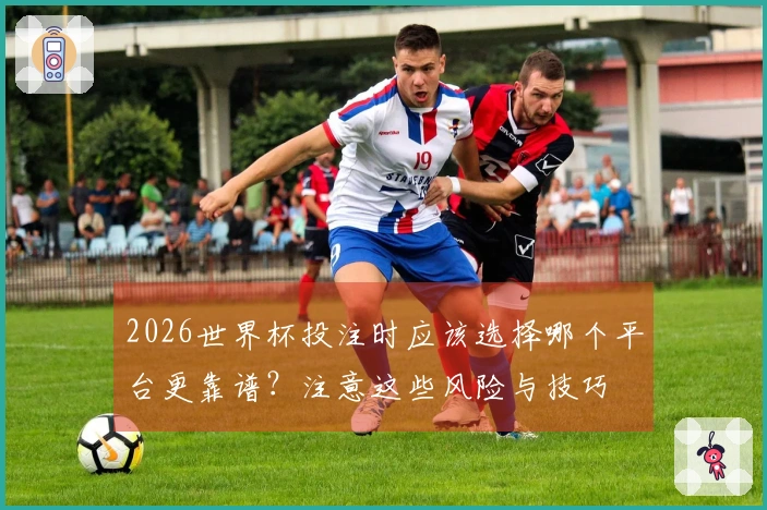 2026世界杯投注时应该选择哪个平台更靠谱？注意这些风险与技巧
