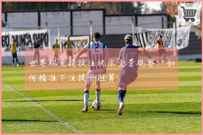 世界杯竞猜投注玩法全景观察：如何精准下注提升胜算