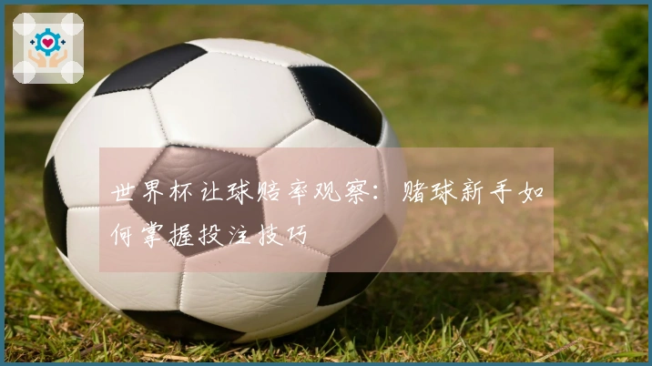 世界杯让球赔率观察：赌球新手如何掌握投注技巧