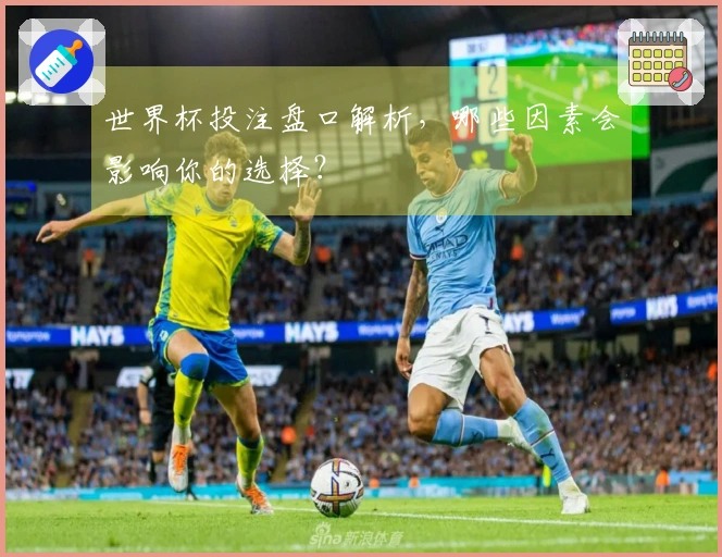 世界杯投注盘口解析，哪些因素会影响你的选择？