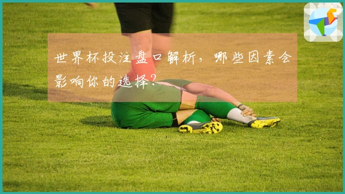 世界杯投注盘口解析，哪些因素会影响你的选择？