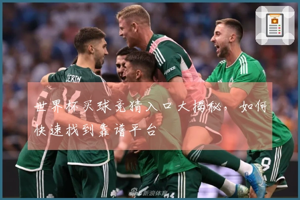 世界杯买球竞猜入口大揭秘，如何快速找到靠谱平台