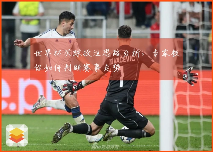 世界杯买球投注思路分析，专家教你如何判断赛事走势