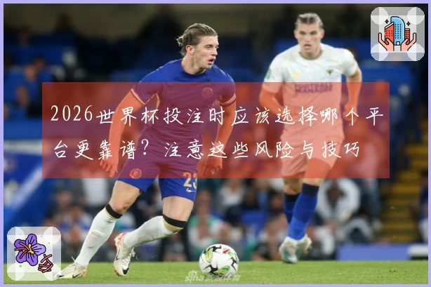 2026世界杯投注时应该选择哪个平台更靠谱？注意这些风险与技巧
