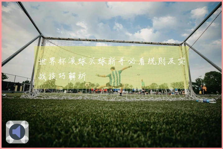 世界杯滚球买球新手必看规则及实战技巧解析