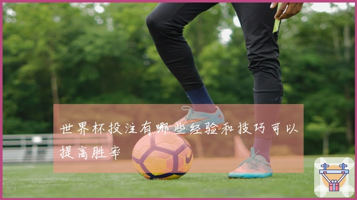 世界杯投注有哪些经验和技巧可以提高胜率