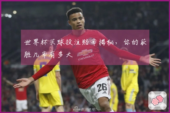 世界杯买球投注赔率揭秘，你的获胜几率有多大