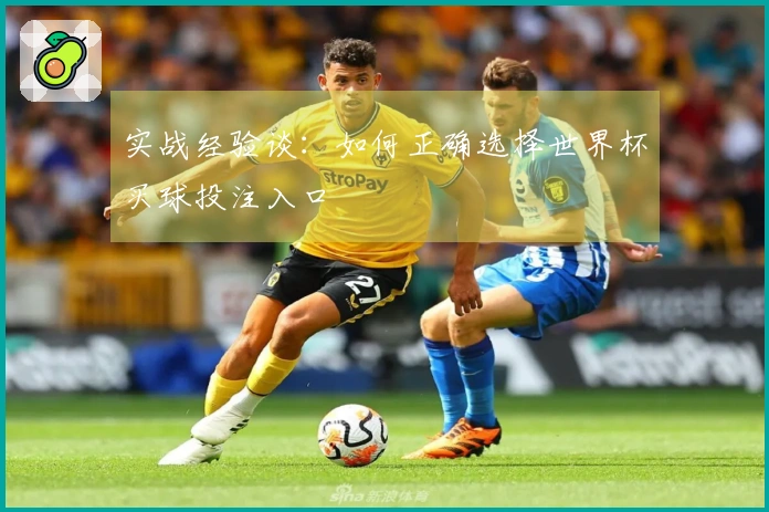 实战经验谈：如何正确选择世界杯买球投注入口